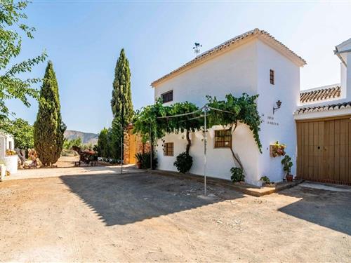 Holiday home - 13 persons -  - 29300 - Archidona