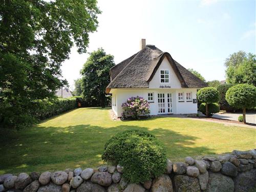 Ferienhaus - 6 Personen -  - Heideweg - 25826 - St. Peter-Ording