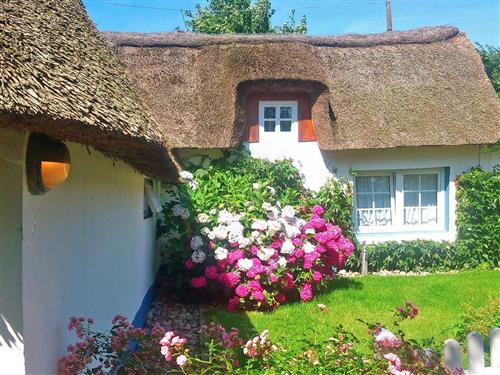 Sommerhus - 4 personer -  - Brukswai - 25938 - Goting