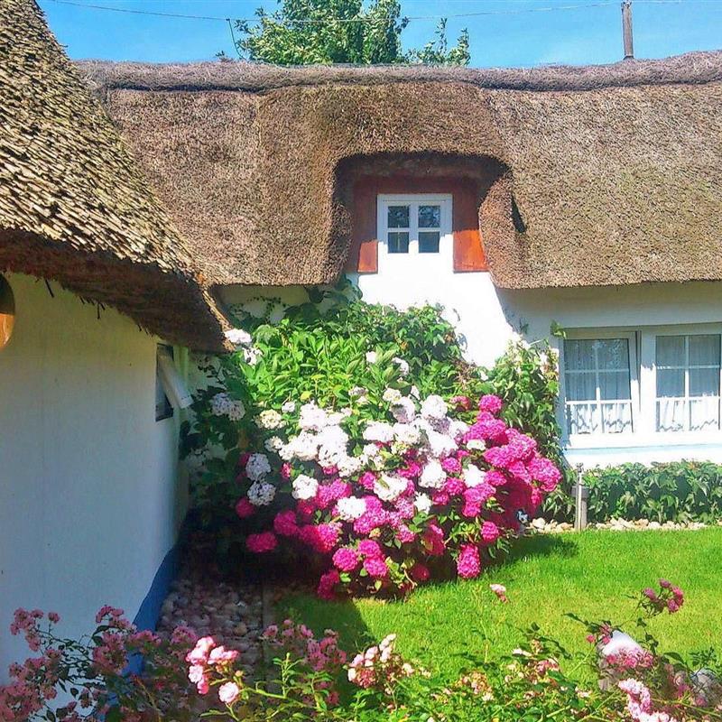 Sommerhus - 4 personer -  - Brukswai - 25938 - Goting