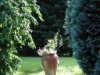 Bilde 4