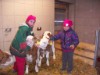 Bild 10