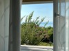 Bilde 27