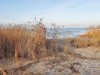 Bild 30 - Blick über's Wasser