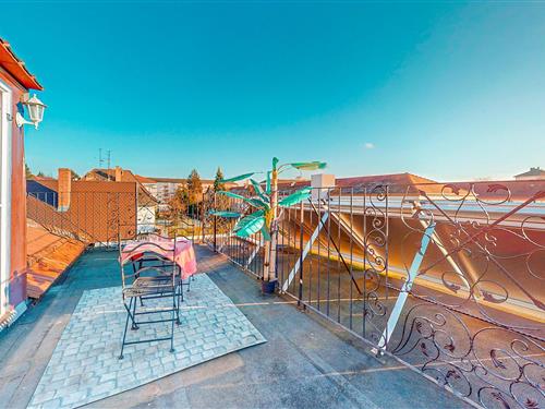 Holiday apartment - 2 persons -  - Rue Joffre - 67300 - Schiltigheim