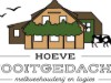 Afbeelding 21