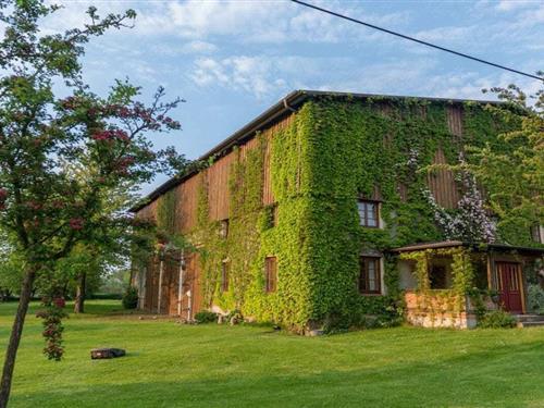 Holiday home - 4 persons -  - 23936 - Thorstorf