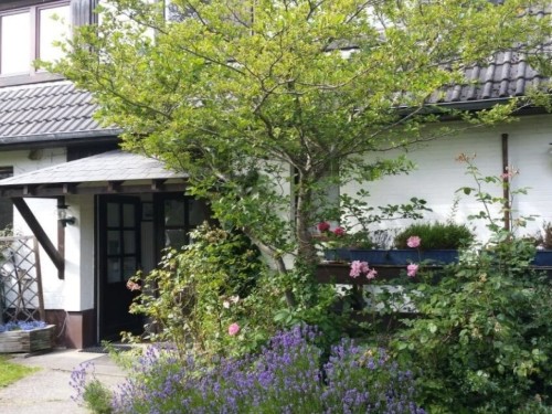 Sommerhus - 3 personer -  - 25946 - Norddorf