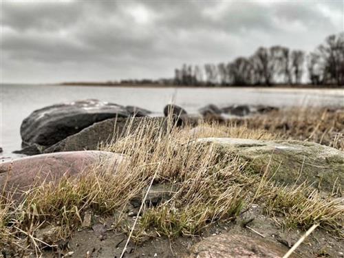 Feriehus / leilighet - 6 personer -  - Am Hafen 19 a - c - 17375 - Mönkebude