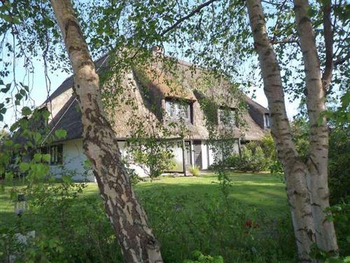 Ferienhaus - 4 Personen -  - Ostlandstraße - 25826 - St. Peter-Ording