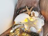 Bild 15 - Inde