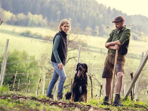 Ferielejlighed - 2 personer -  - Längseestraße - 9313 - Sankt Georgen Am Längsee