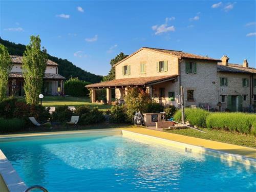 Ferielejlighed - 2 personer -  - Cagli - 61043