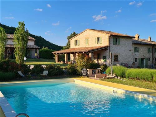 Ferieleilighet - 2 personer -  - Cagli - 61043