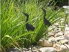Bild 17
