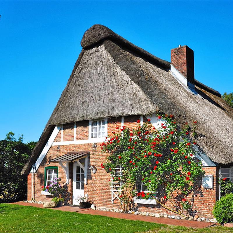 Sommerhus - 5 personer -  - Wingst - 21787