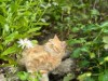 Bild 16