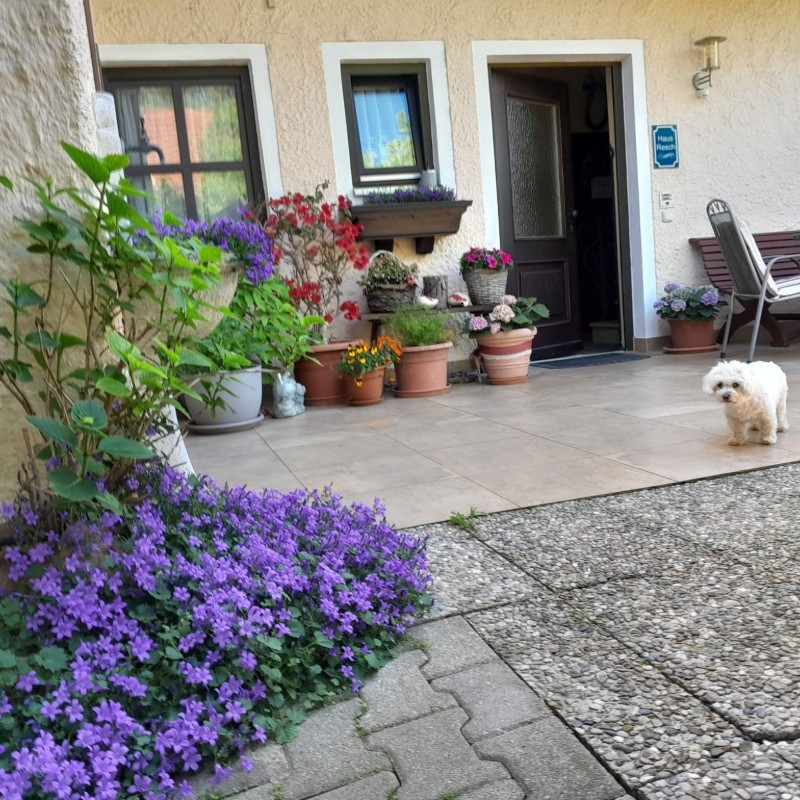 Ferielejlighed - 4 personer -  - Untermoosweg - 83410 - Laufen