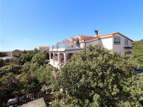 Holiday apartment - 2 persons -  - Velebitska 12, Mandre - 23251 - Kolan