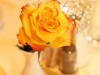 Billede 12
