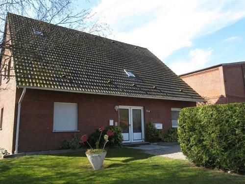 Feriehus / leilighet - 4 personer -  - 23769 - Fehmarn