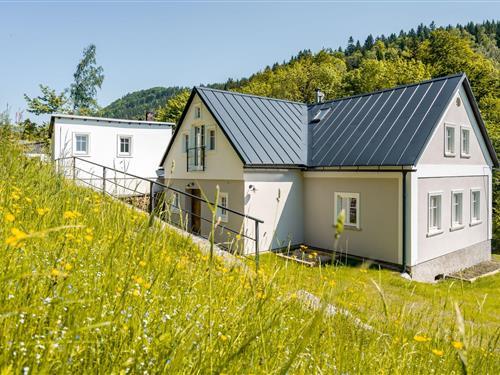 Villa - 11 personer -  - 468 61 - Desná