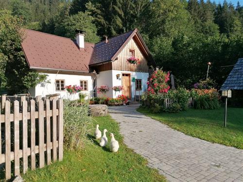 Holiday Home/Apartment - 8 persons -  - Strohmarkt - 3345 - Göstling An Der Ybbs