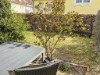 Image 22 - Outside