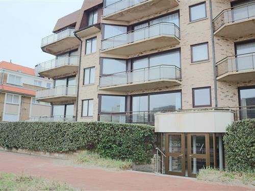 Ferielejlighed - 5 personer -  - 8670 - Koksijde