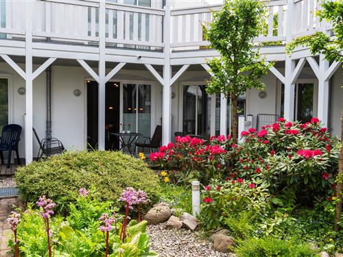 Ferielejlighed - 3 personer -  - Strandstraße - 18225 - Kühlungsborn