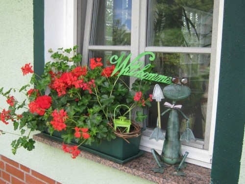 Ferienhaus - 2 Personen -  - 19386 - Daschow