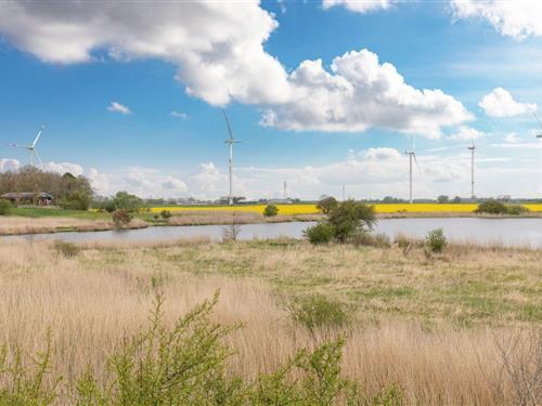 Feriehus - 4 personer -  - Gotteskoogdeich - 25924 - Emmelsbüll-Horsbüll