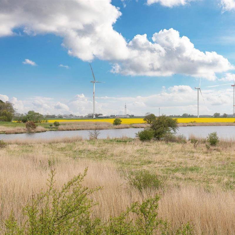Sommerhus - 4 personer -  - Gotteskoogdeich - 25924 - Emmelsbüll-Horsbüll