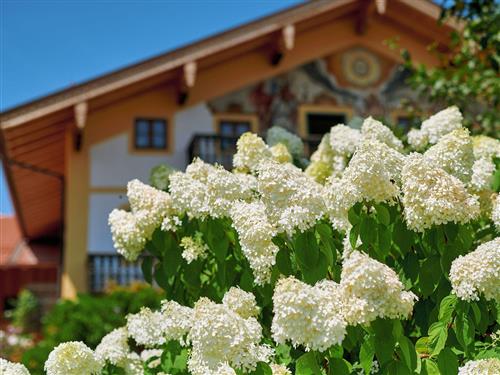 Ferielejlighed - 4 personer -  - Breitbrunner Straße - 83257 - Gstadt Am Chiemsee