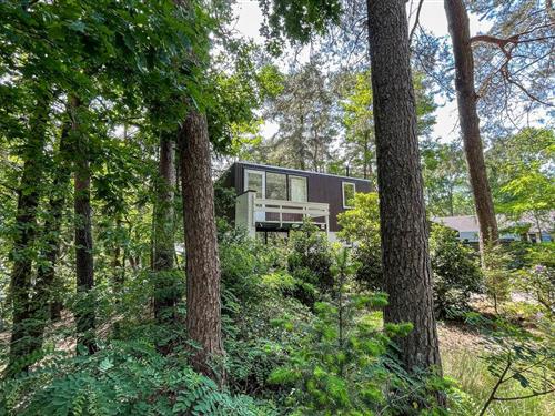 Sommerhus - 5 personer -  - Steenoven 12 - Sperwerlaan - 5768 PK - Meijel