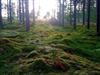 Bild 47 - Aussen