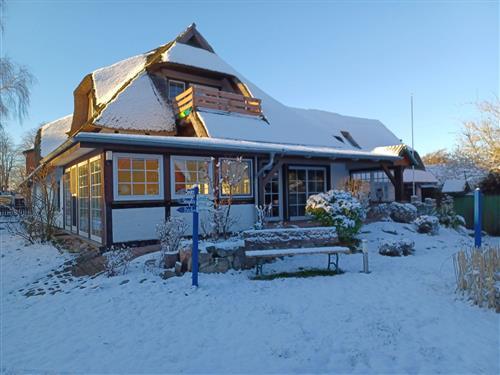 Ferienwohnung - 4 Personen -  - Herrmann- Löns- Str. - 18347 - Wustrow