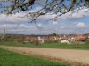 Image 14