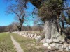 Bild 14