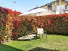 Image 21 - Outside