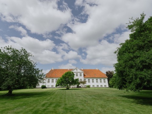 Herrenhaus - 28 Personen -  - Hindemaevej - Fyn - 5540