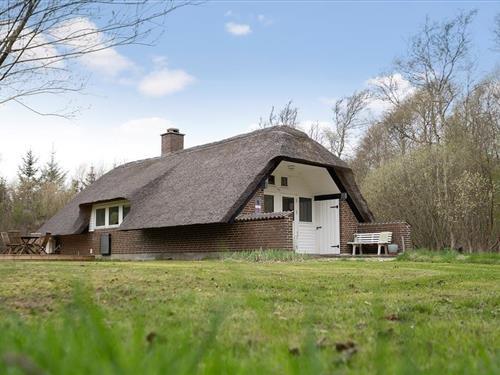 Sommerhus - 4 personer -  - Vester Mosevej - Vester Husby - 6990 - Ulfborg