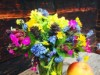 Bild 19
