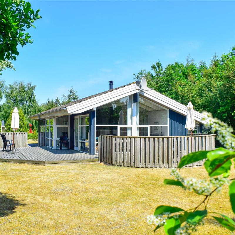 Ferienhaus - 6 Personen -  - Anemonevej - Nr. Hede Vest - 6990 - Ulfborg