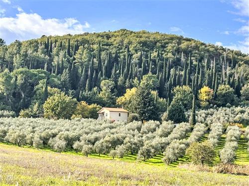 Semesterhus/Semesterlägenhet - 9 personer -  - Montalcino - 58033