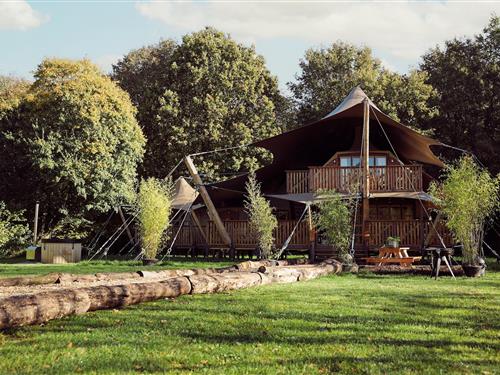 Glamping telt - 6 personer -  - 3896LS - Zeewolde