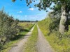 Bild 16 - Ude