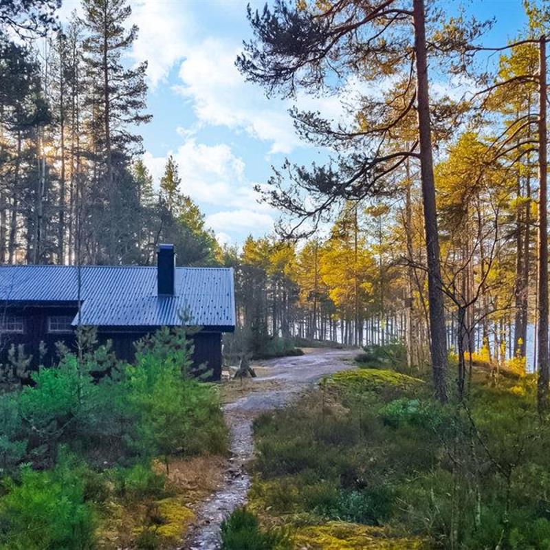 Sommerhus - 5 personer -  - Fyresdalsvegen - Telemark/Fyresdal - 3870 - Fyresdal