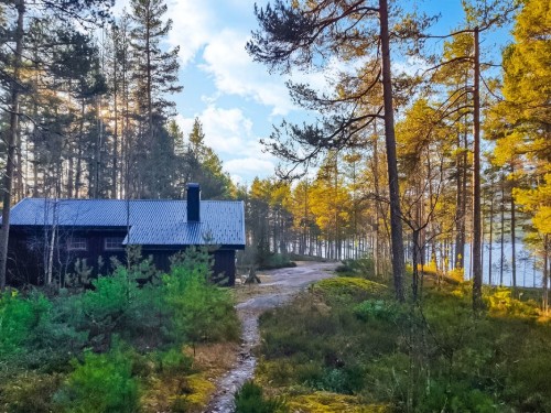 Sommerhus - 5 personer -  - Fyresdalsvegen - Telemark/Fyresdal - 3870 - Fyresdal
