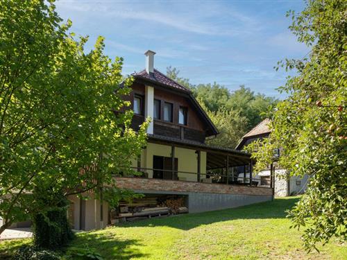 Holiday home - 8 persons -  - Hrvatski Cuntic - Petrinja - Hrvatski Cuntic - 44250 - Petrinja